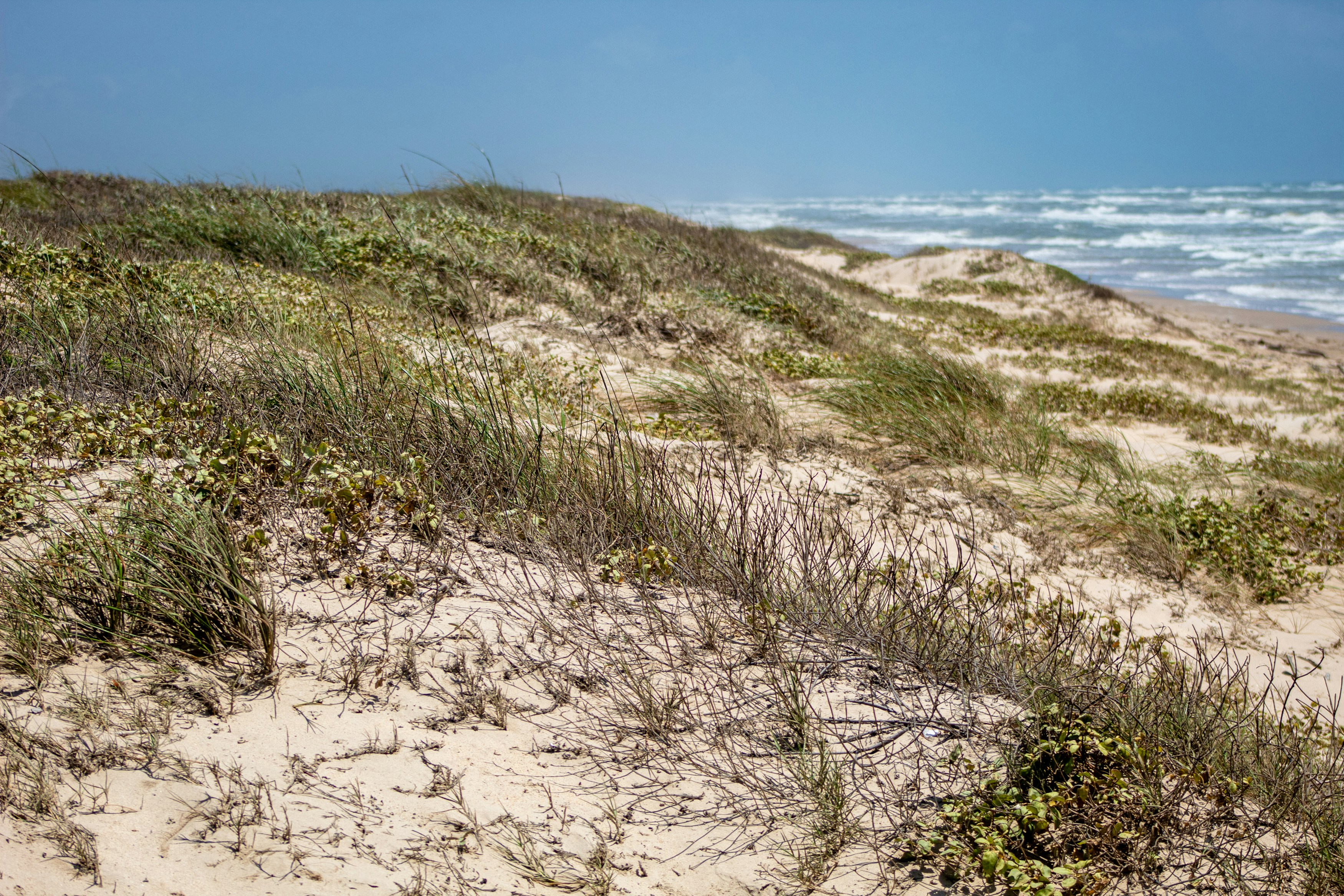 Mānia Beach Foreshore Reserves Management Plan